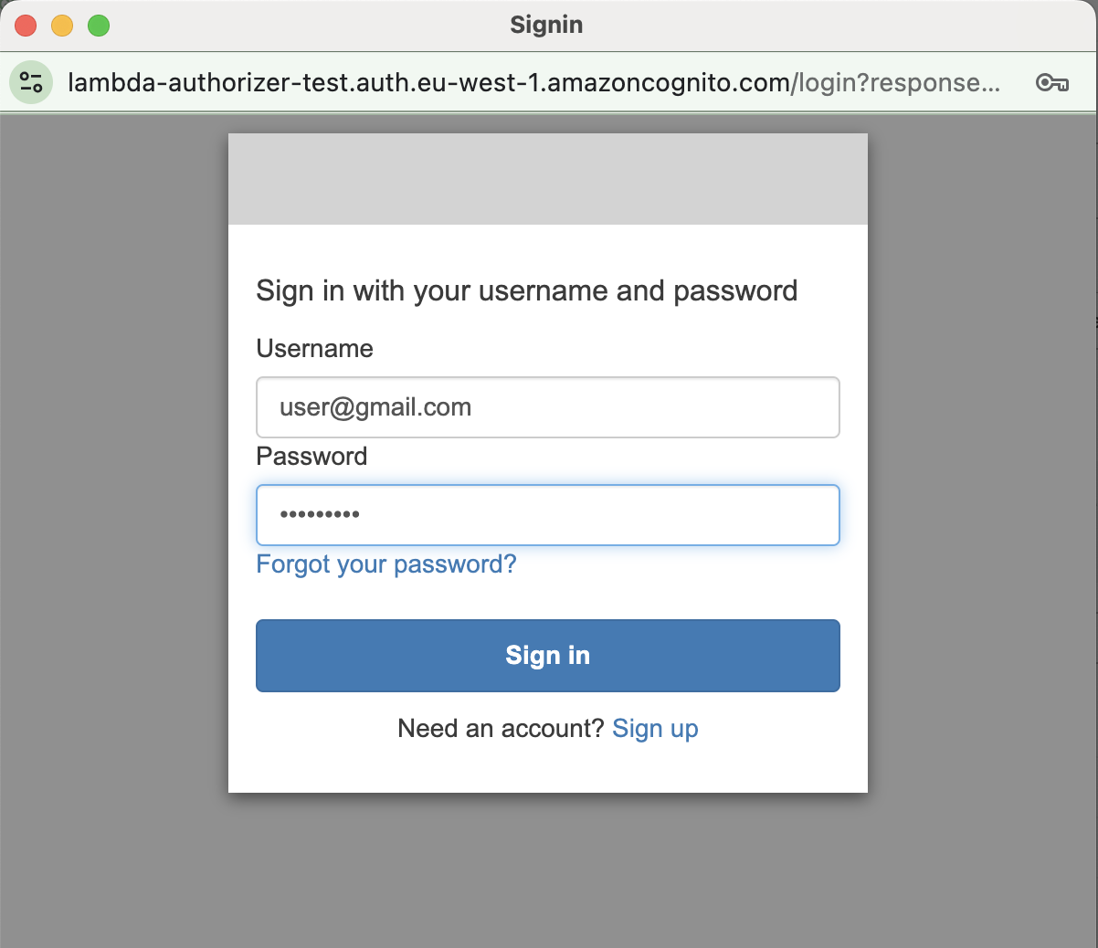 AWS Cognito Login